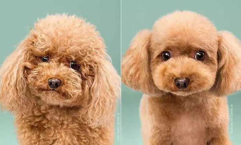 Antes e depois